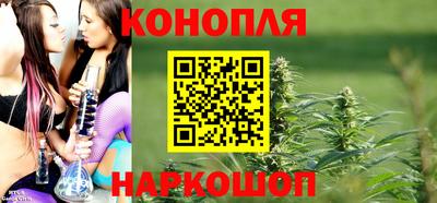 шишки Пыть-Ях