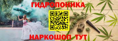 шишки Пыть-Ях