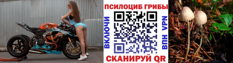 хочу наркоту  Тольятти  MEGA ССЫЛКА  Галлюциногенные грибы Cubensis 
