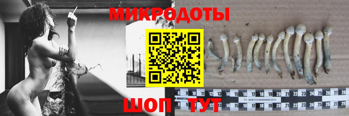 Тольятти  Псилоцибиновые грибы мухоморы  Вход с VPN 